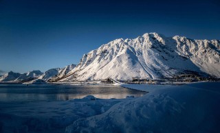 0149导航：数据可视化：年报：仅供查询与学习，2020导航市场份额