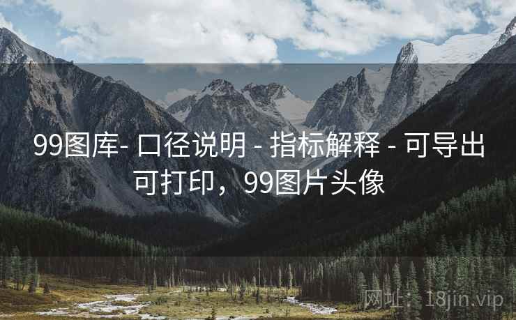 99图库- 口径说明 - 指标解释 - 可导出可打印，99图片头像