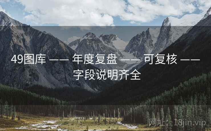 49图库 —— 年度复盘 —— 可复核 —— 字段说明齐全