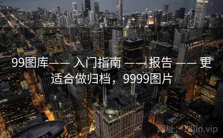 99图库—— 入门指南 —— 报告 —— 更适合做归档，9999图片